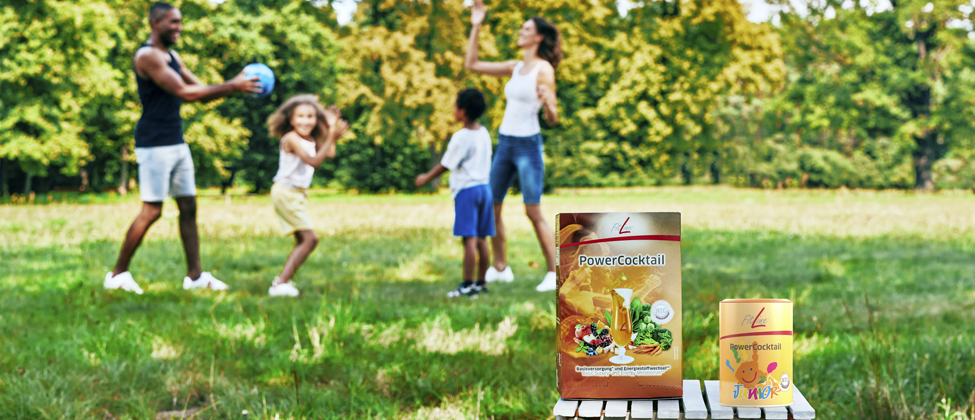 que son los productos de fitline qué es fitline