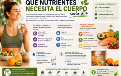 Qué nutrientes necesita el cuerpo cada día