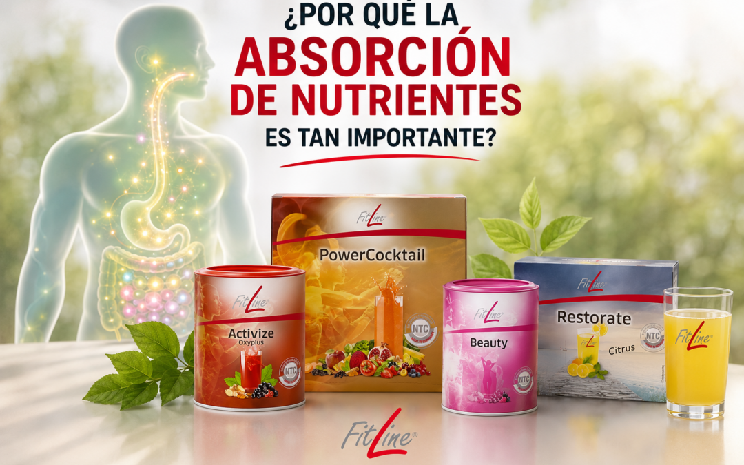 ¿Por qué la absorción de nutrientes es tan importante?